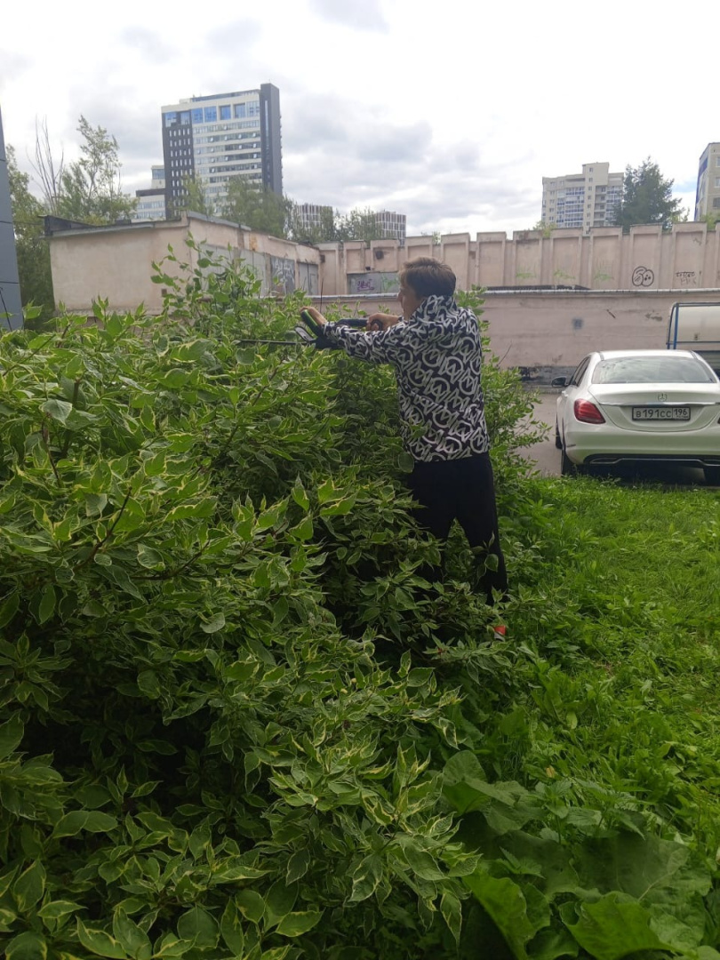 Подстрижка кустарников на Ткачей,6.jpg